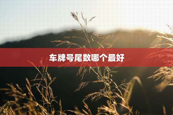 车牌号尾数哪个最好