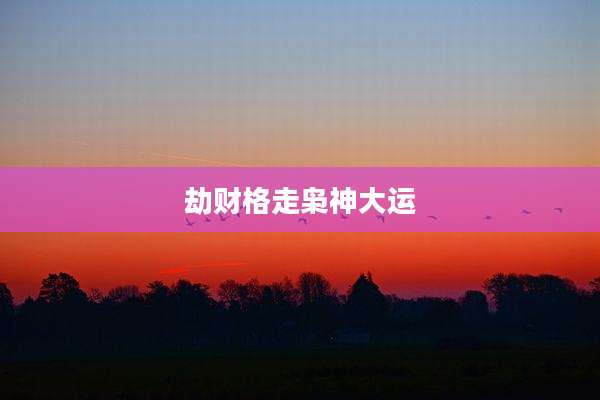 劫财格走枭神大运