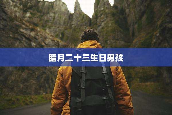 腊月二十三生日男孩
