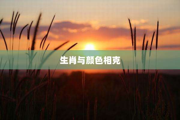 生肖与颜色相克