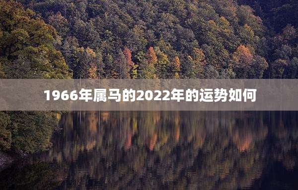 1966年属马的2022年的运势如何