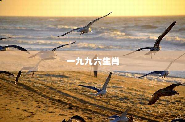 一九九六生肖