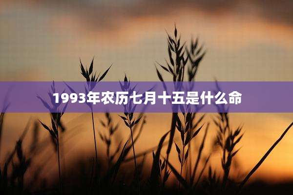 1993年农历七月十五是什么命