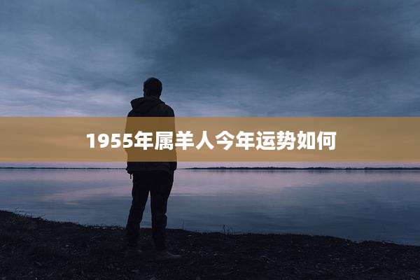 1955年属羊人今年运势如何