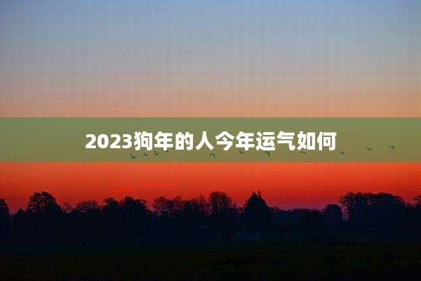 2023狗年的人今年运气如何
