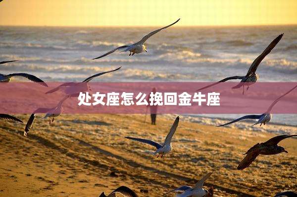 处女座怎么挽回金牛座