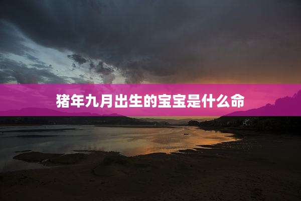 猪年九月出生的宝宝是什么命
