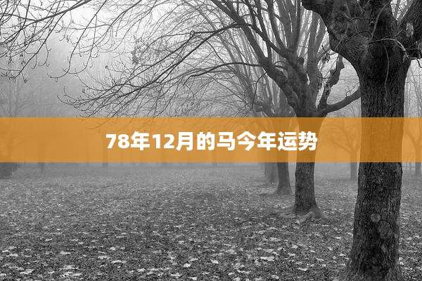 78年12月的马今年运势