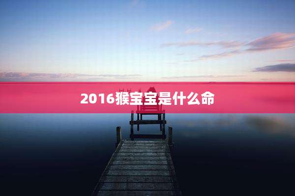 2016猴宝宝是什么命