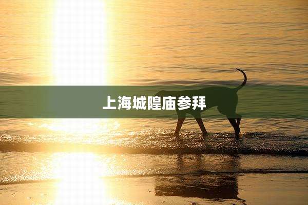 上海城隍庙参拜
