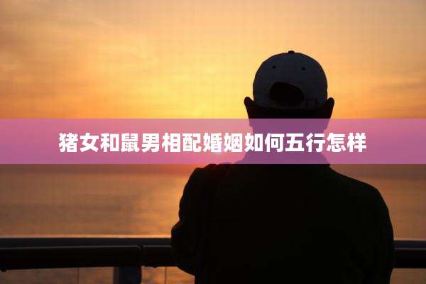 猪女和鼠男相配婚姻如何五行怎样