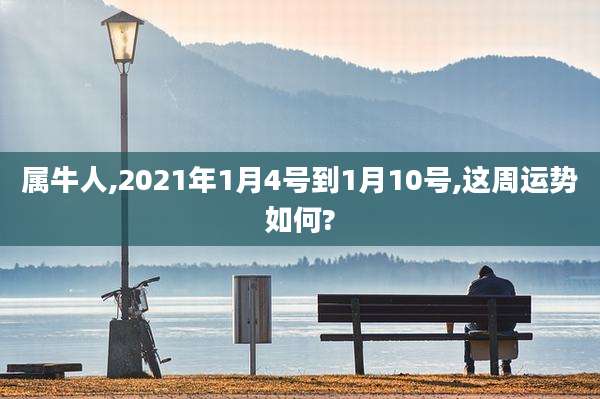 属牛人,2021年1月4号到1月10号,这周运势如何?