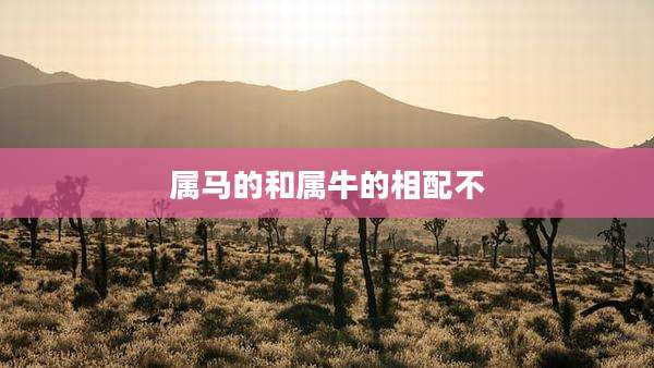 属马的和属牛的相配不