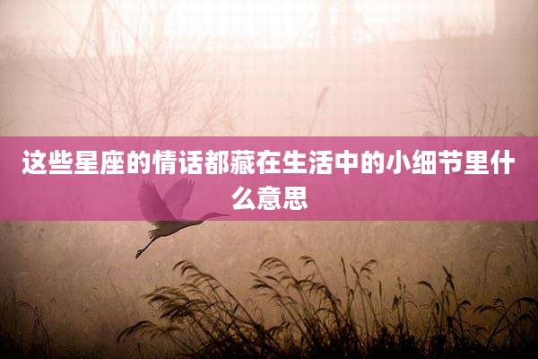 这些星座的情话都藏在生活中的小细节里什么意思