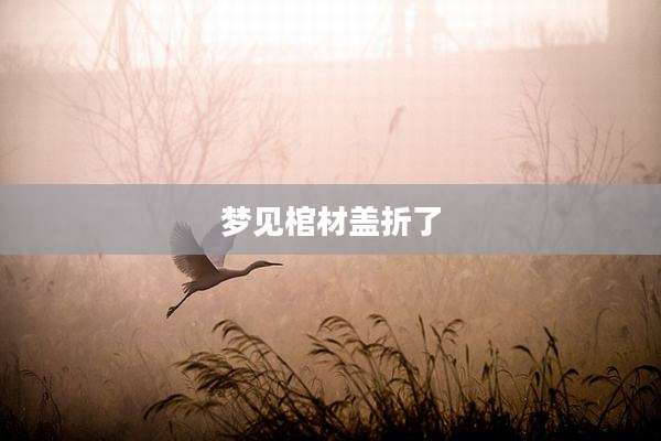 梦见棺材盖折了