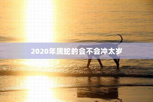 2020年属蛇的会不会冲太岁
