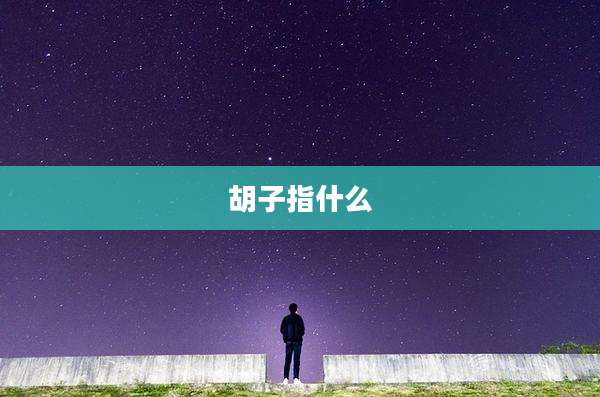 胡子指什么