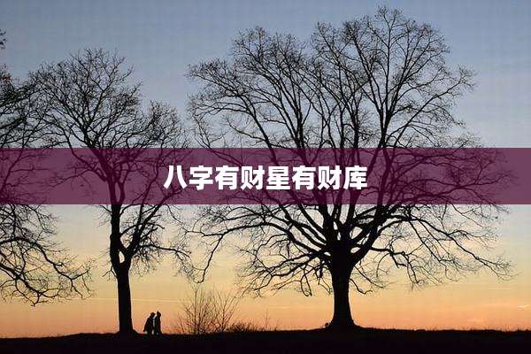 八字有财星有财库