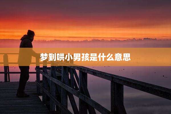 梦到哄小男孩是什么意思