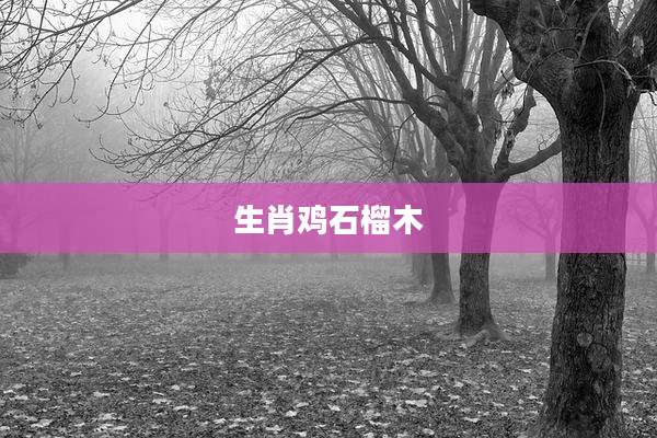 生肖鸡石榴木