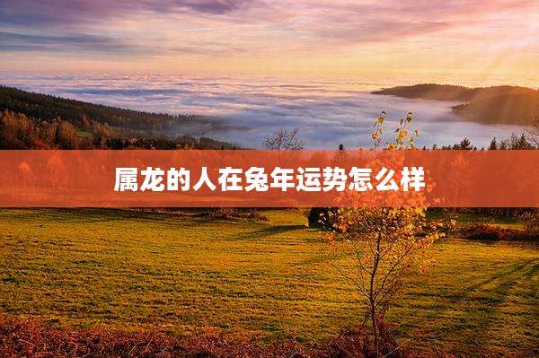属龙的人在兔年运势怎么样