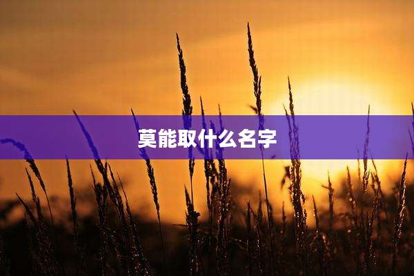 莫能取什么名字