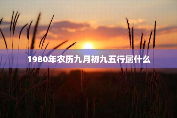1980年农历九月初九五行属什么