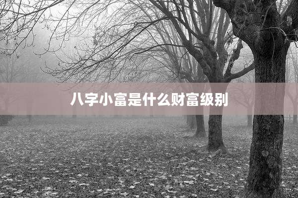 八字小富是什么财富级别