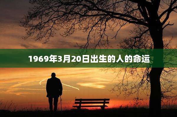 1969年3月20日出生的人的命运