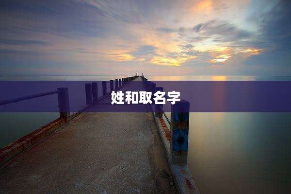 姓和取名字