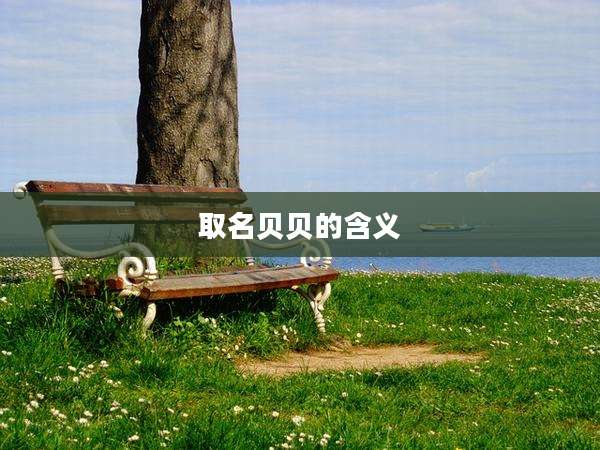 取名贝贝的含义