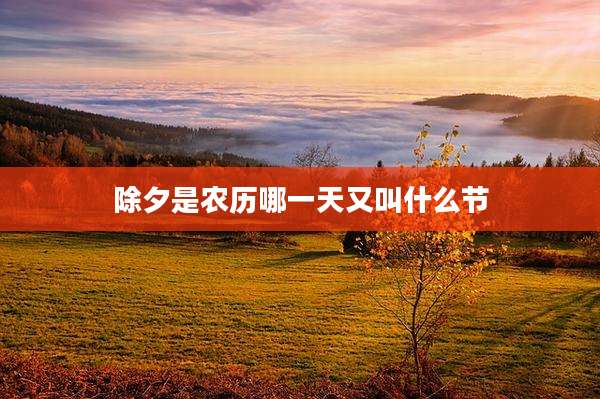 除夕是农历哪一天又叫什么节