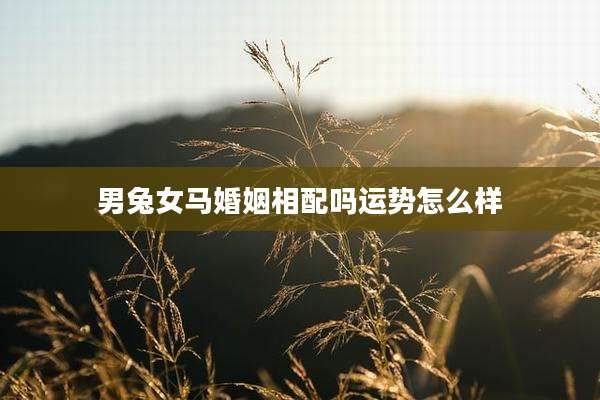 男兔女马婚姻相配吗运势怎么样