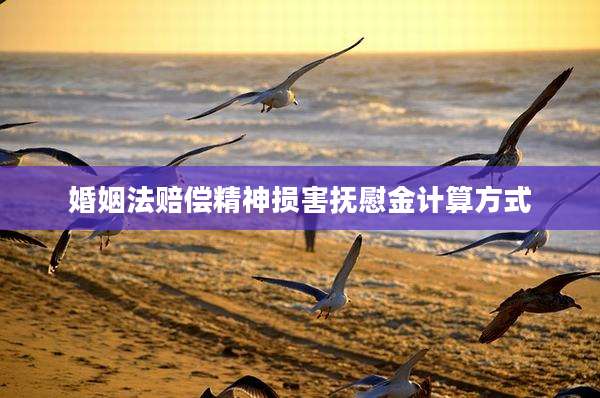 婚姻法赔偿精神损害抚慰金计算方式