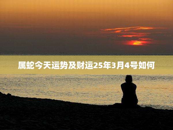 属蛇今天运势及财运25年3月4号如何