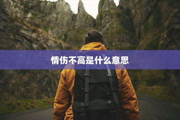 情伤不高是什么意思