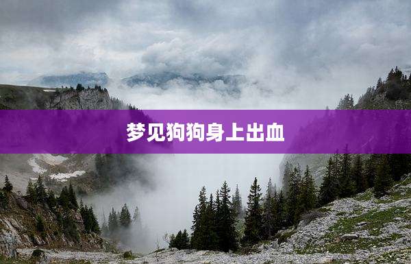 梦见狗狗身上出血