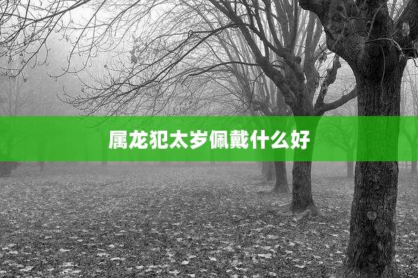 属龙犯太岁佩戴什么好