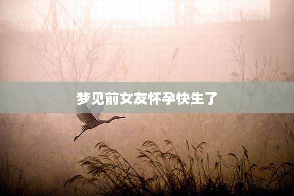 梦见前女友怀孕快生了