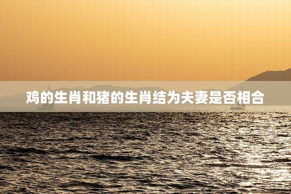 鸡的生肖和猪的生肖结为夫妻是否相合