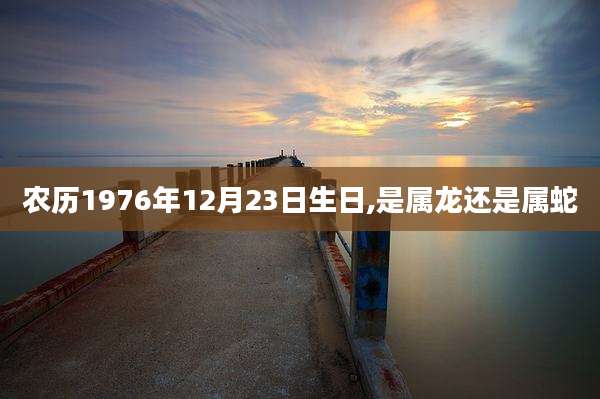 农历1976年12月23日生日,是属龙还是属蛇