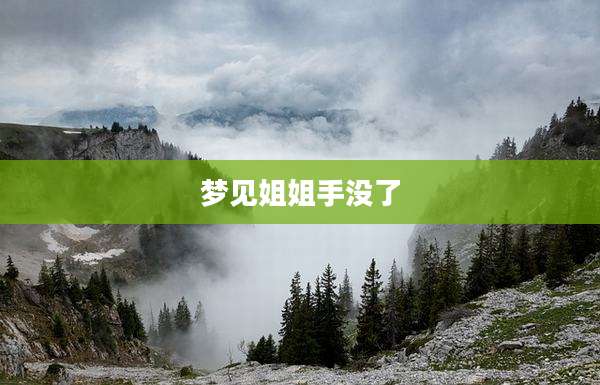 梦见姐姐手没了