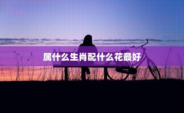 属什么生肖配什么花最好