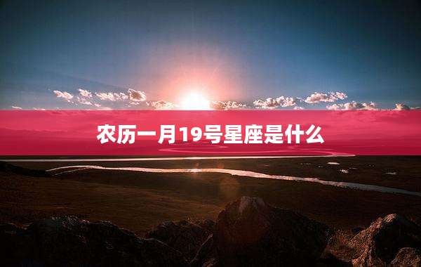 农历一月19号星座是什么