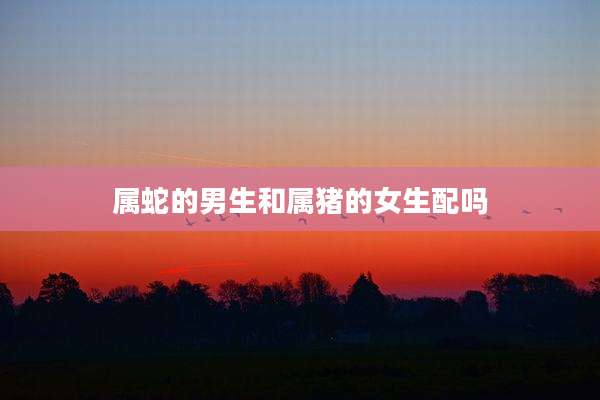 属蛇的男生和属猪的女生配吗