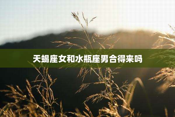 天蝎座女和水瓶座男合得来吗