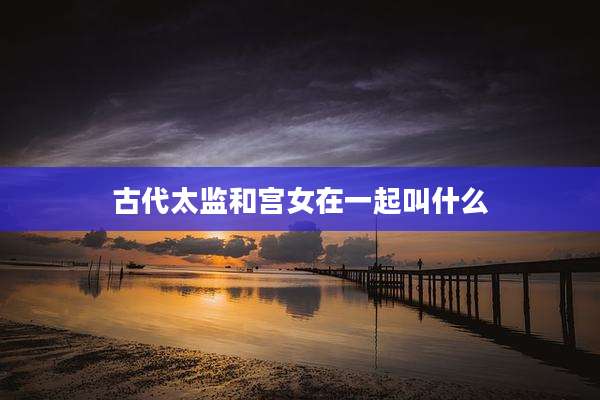 古代太监和宫女在一起叫什么