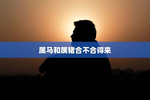 属马和属猪合不合得来