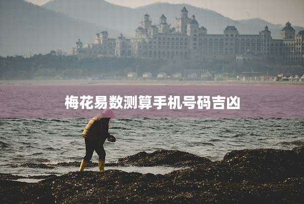 梅花易数测算手机号码吉凶