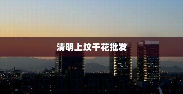 清明上坟干花批发